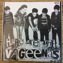 【THE VAGEENAS】パンク PUNK-10インチ ピクチャー・レコード_画像3