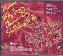 リトル・ウィメン CD／プリティ・ワイプド・アウト 1991年 日本盤 廃盤_画像2