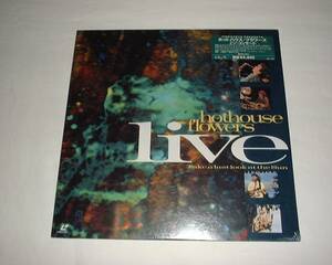 LD『Live in Concert』ホットハウス・フラワーズ