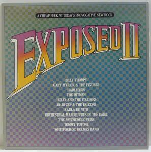 『2LP』V.A/EXPOSED II/LP 5枚以上で送料無料