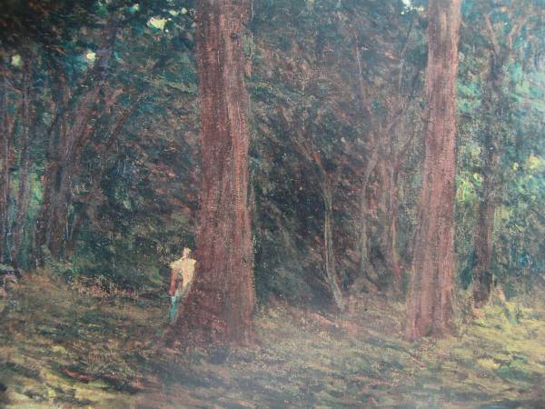 Shigeru Aoki, Forêt d'Ota, Extrait d'un livre d'art rare et en édition limitée, Tout neuf avec un cadre de haute qualité, Peinture, Peinture à l'huile, Nature, Peinture de paysage