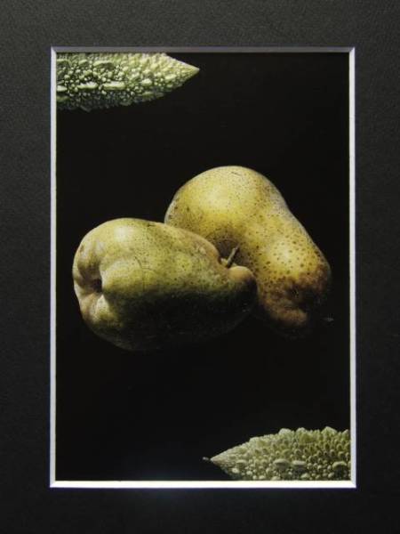 野田弘志、林檎〈Ⅰ〉、希少画集画、新品高級額、額装付 野田弘志 ( 広島県 1936 - ) – Uni-art Gallery