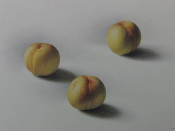 2025年最新】Yahoo!オークション -野田弘志(絵画)の中古品・新品