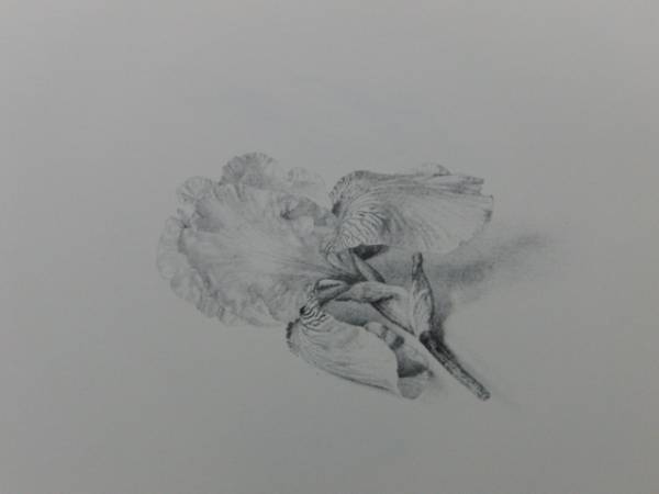 2025年最新】Yahoo!オークション -野田弘志(絵画)の中古品・新品