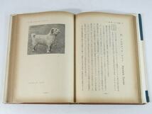 テリアと愛玩犬 大野淳一 朝倉書店 1955 繁殖 飼育と管理 トリミングの実際 エアデール ベドリントン ブル ヨークシヤ スカイ チベタン 他_画像9