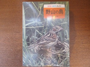  цвет природа гид . гора. птица Kobayashi багряник японский . Showa 48 Hoikusha *.. лес .