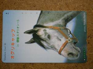 I430A*o Gris cap horse racing telephone card 