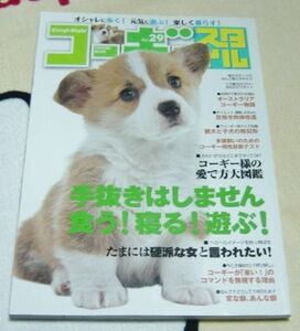  Corgi стиль vol29 H24.7