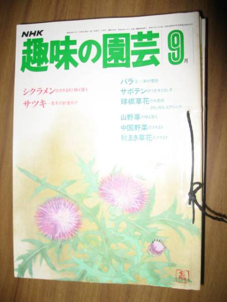 【レア品】34年前の古書　ＮＨＫ趣味の園芸　19冊1991年〜1992年 昭和 レア品】34年前の古書 NHK趣味の園芸 19冊1991年〜1992年