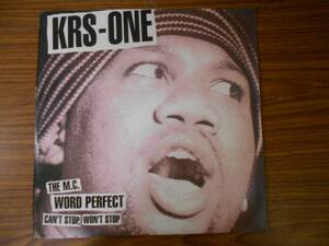 即決　Can't Stop Won't Stop KRS-ONE 　LP盤　2枚組