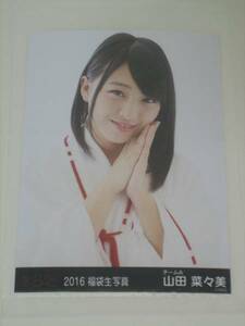 新品 AKB48 2016 福袋生写真 チームA 山田菜々美 ダンボール梱包