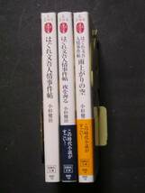 小杉健治★はぐれ文吾人情事件帖（全３冊）★　宝島社文庫_画像2