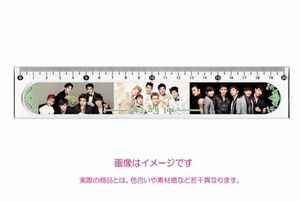 2PM ruler 20cm 003