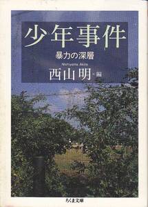 品切　　少年事件―暴力の深層 (ちくま文庫) 西山 明 2003