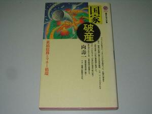 ●国家破産●累積債務とマネー循環●向寿一●講談社現代新書●即