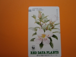 テレカ●●　ＲＥＤ　ＤＡＴＥ　ＰＬＡＮＴＳ　ムニンノボタン