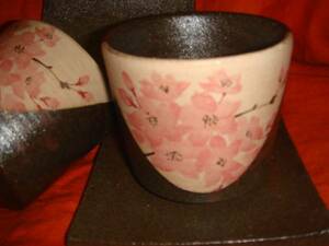  Shigaraki .* Sakura, Sakura * свободный cup & tray * пара 