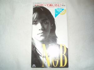 【CDS】NoB「いつだって逢いたい」