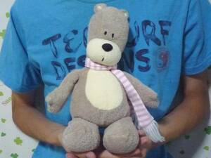 AURORA* pretty bear soft toy / bear / muffler / Aurora!