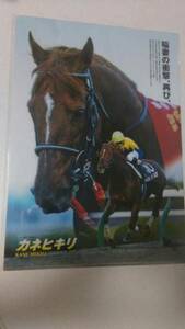 JRA カネヒキリ クリアファイル ヒーロー列伝 競馬 来場ポイントキャンペーン