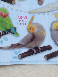 手のりインココレクション スヤスヤおやすみ編 オカメインコC