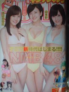 週刊ヤングジャンプ　2015年No.33　NMB48