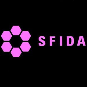 送料0　【SFIDA】スフィーダ-30cm　サッカーステッカー6