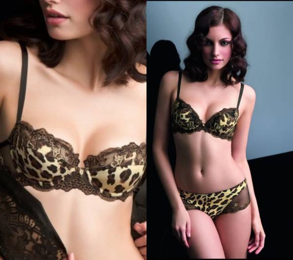 【リズシャルメル LISE CHARMEL】DOUX GUEPARDブラ単品 FR85B