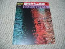 動物たちの地球130★人間界の動物たち10 都市 耕地 集落に生きる★朝日新聞社◆ゆうパケット_画像1