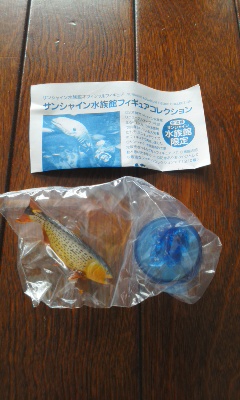 【完全未開封】サンシャイン水族館フィギュア8種9個 51VeLft1B5L._UF350,350_QL80_.jpg