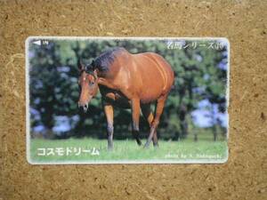 I654・コスモドリーム 競馬 テレカ