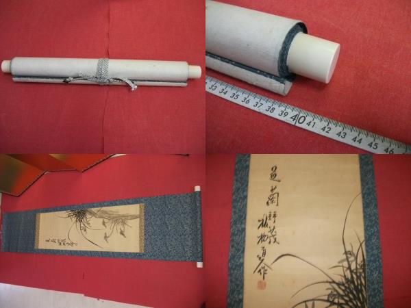 古】111 鄭板橋 紙本 肉筆 菊花図 掛軸 中国