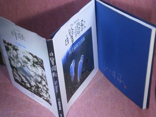 □ Catalog White Heron Hymn: Kawakami Ryokusa Photo Collection Nippon Camera S63 First Signature, Painting, Art Book, Collection, Catalog