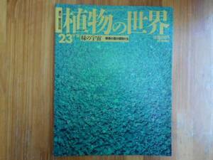 週刊　 朝日百科 　植物の世界　23　緑の宇宙　タカ58