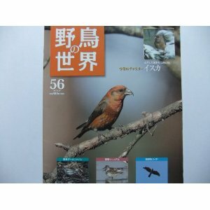 週刊　野鳥の世界　NO.56 