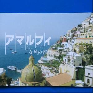 映画パンフ アマルフィ女神の報酬 織田裕二 天海祐希 戸田恵梨香