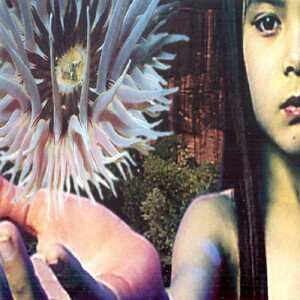  популярный .. редкость item!The Future Sound Of London /Lifeforms