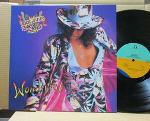 RICK JAMES/WONDERFUL/