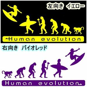 人類の進化 20cm【サーフィン編】サーファーステッカー 2