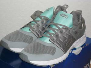 6*** prompt decision new goods Asics /ASICS GT-DS TQ6G3N gray 31.0cm running shoes 