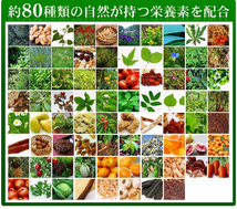 野草酵素 1ヶ月分 約80種類の栄養素 ダイエット 健康ケア 自然 健康食品 サプリメント_画像3