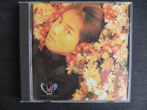 CDアルバム-3　　　高野寛　　CUE　　　