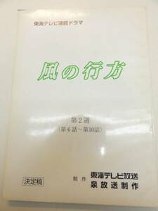 wc0589坂口良子長谷川待子『風の行方』6tv台本