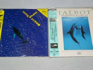 LD TALBOT dolphin rock . light . whale. sea 