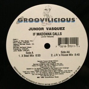 Junior Vasquez / If Madonna Calls