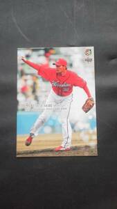 BBM2009 Hiroshima Toyo Carp C15 forest . two 