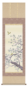 north mountain . raw Sakura flower hanging scroll .. axis new goods 