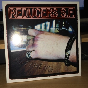 Reducers S.F. Don't Like You 7inch 1998 US STREET PUNK