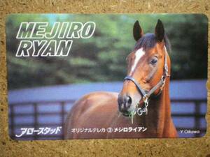 I1967*mejiro Ryan horse racing telephone card 