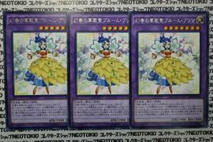 遊戯王 幻奏の華歌聖ブルーム・プリマ(レア)×3枚セット